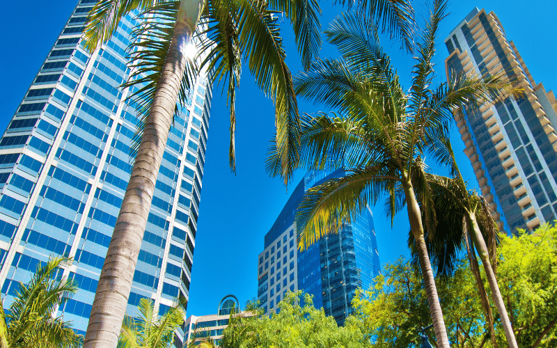 The Four Main Choices for Your 401(k) After a Layoff
