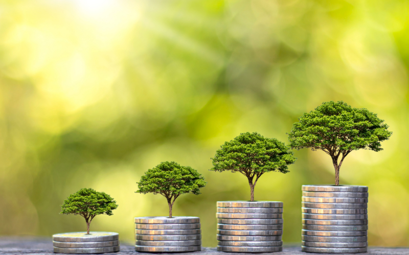Why Holistic Planning Matters